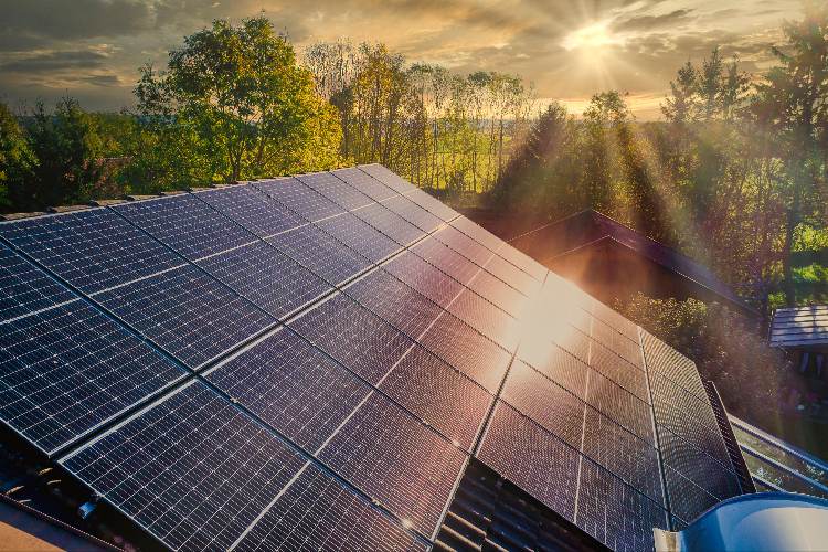 Die größten Solarmodul-Hersteller der Welt: Leitfaden