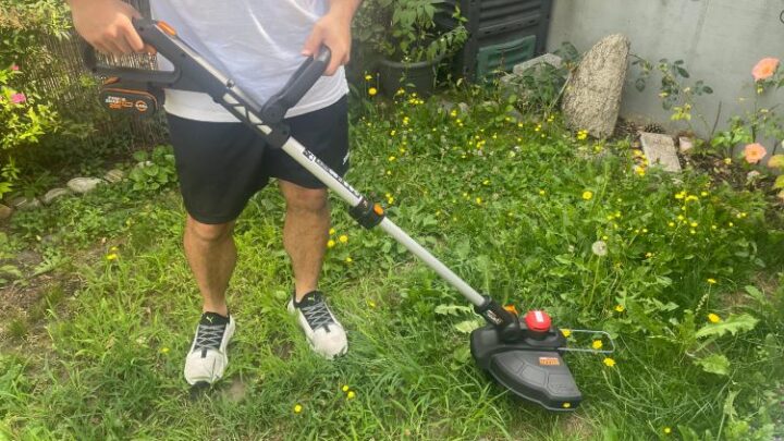 Worx WG173E Test: Wo überzeugt der Akku Rasentrimmer besonders?