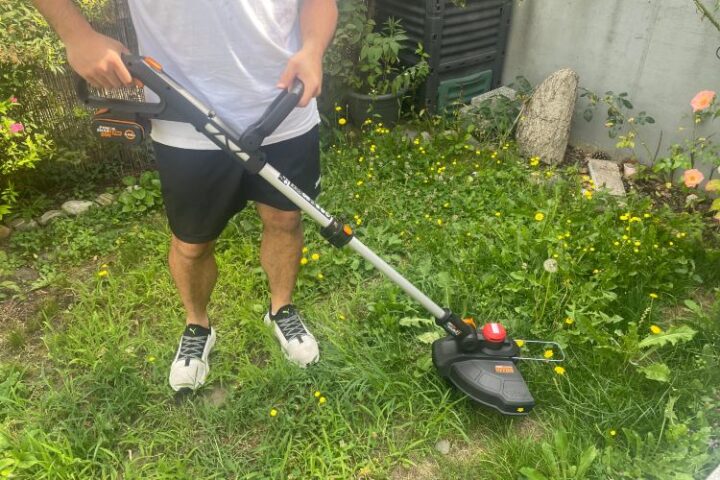 Worx WG173E Test: Wo überzeugt der Akku Rasentrimmer besonders?