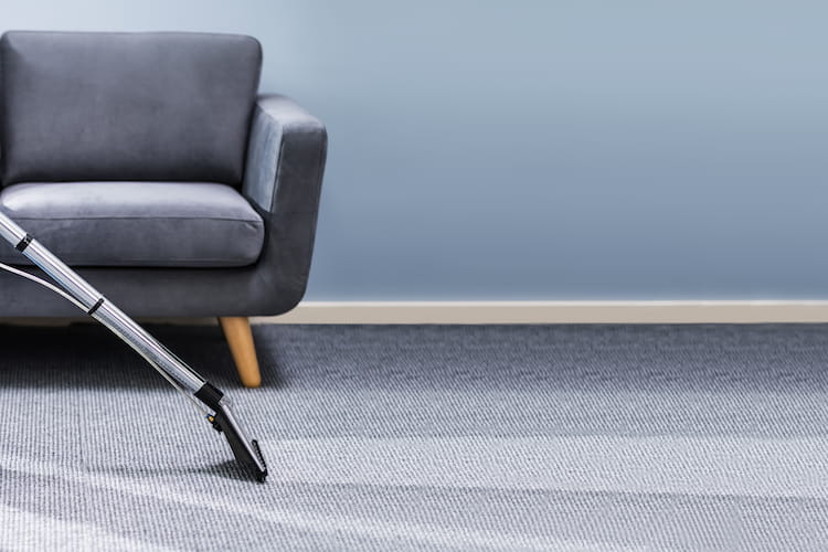 Die besten Waschsauger im Test Vergleich