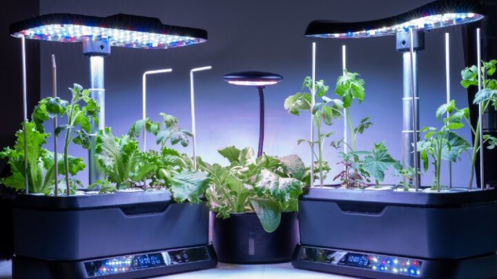 Indoor Gärten Test-Vergleich: Echtzeitüberwachung via App