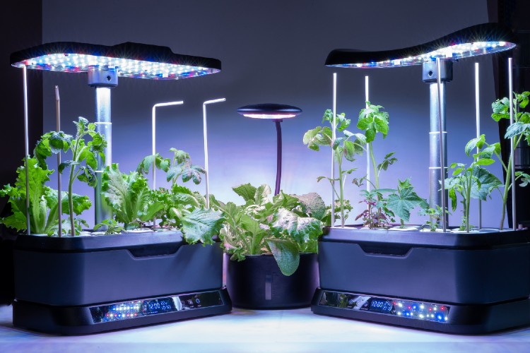 Indoor Gärten Test-Vergleich: Echtzeitüberwachung via App