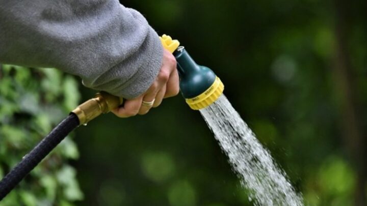 Nachhaltige Gartenpflege – wie geht das?