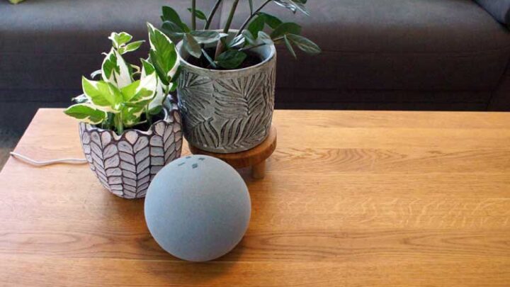 Mit Alexa telefonieren – Alexa Telefon Funktionen im Überblick