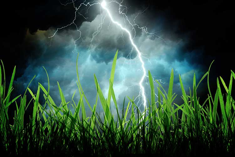 Mähroboter mit Regensensor: Welche sind gut?