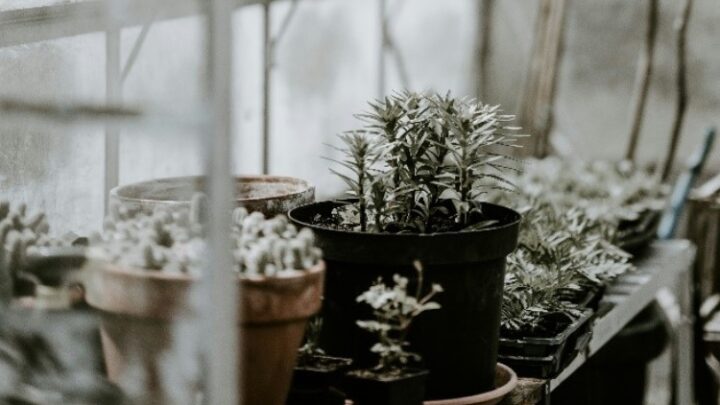 Den Garten winterfest machen