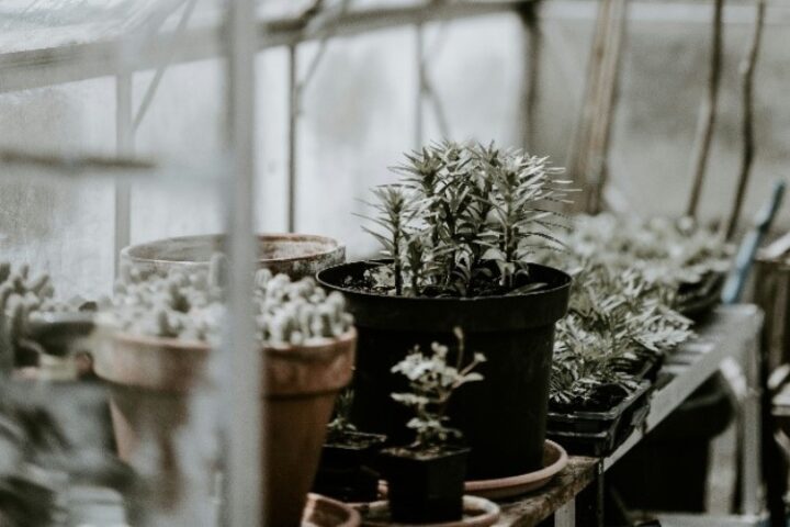 Den Garten winterfest machen