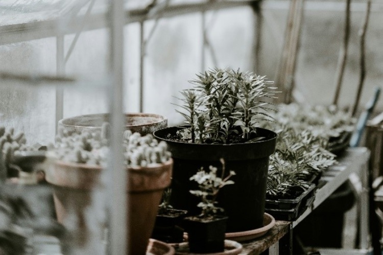 Den Garten winterfest machen