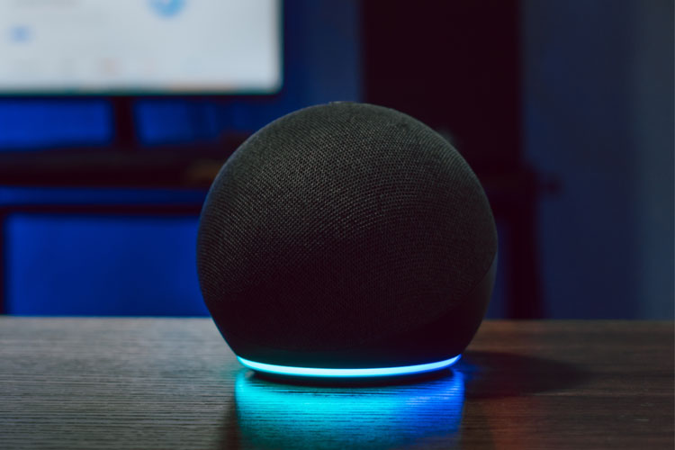 Amazon Echo: Alexa hat kein Internet – was tun?
