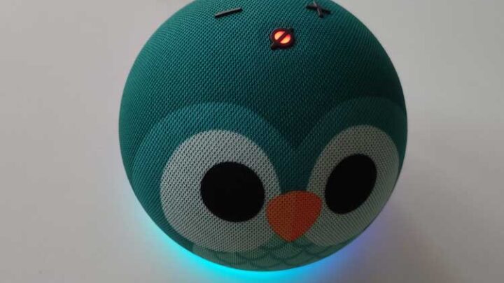 Alexa zurücksetzen – so geht’s