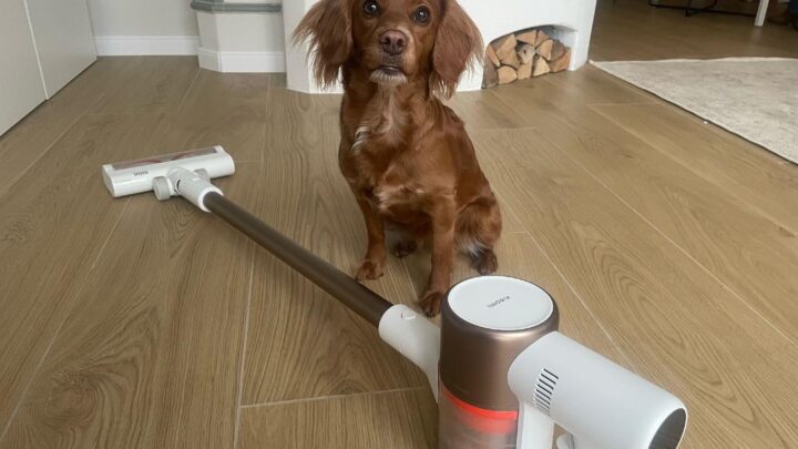 Akkusauger Tierhaare Test – beste Modelle für Tierhalter