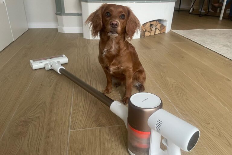 Akkusauger Tierhaare Test – beste Modelle für Tierhalter