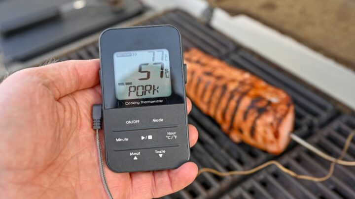 Grillthermometer im Test Check – die besten Modelle