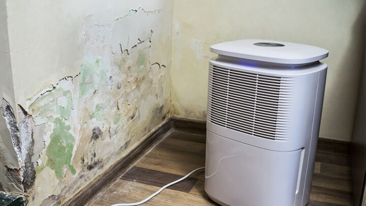 Luftreiniger gegen Schimmel Test: Diese Geräte helfen wirklich!