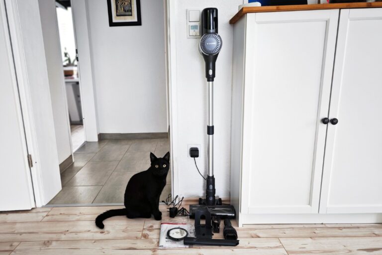 Akku-Staubsauger Ultenic U12 Vesla im Test