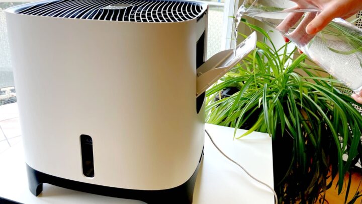 Top Luftbefeuchter 2026 – Welches ist das beste Gerät?