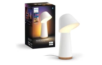 Philips Hue Twilight