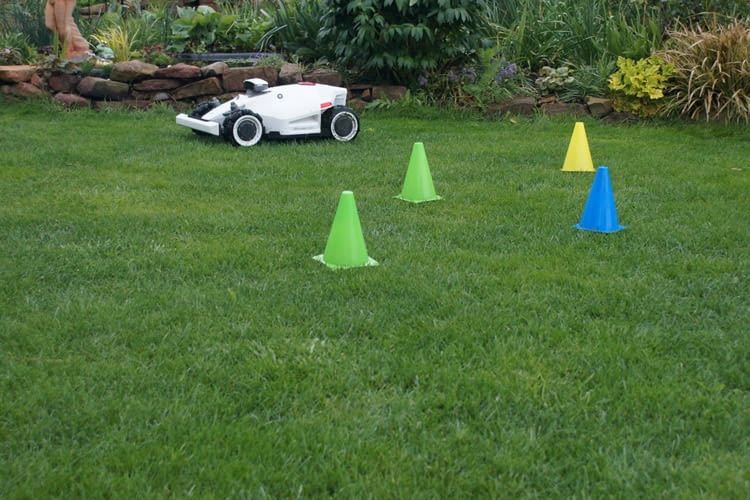 Diese Hütchen erkannte LUBA 2 im Test nicht immer als Hindernis Diese Hütchen erkannte LUBA 2 im Test nicht immer als Hindernis