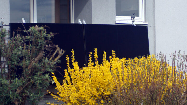 Balkonkraftwerk mit Verschattung: Wie schlimm ist es?