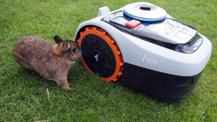 Kinder & Tiere in Gefahr? Das müssen Mähroboter-Besitzer wissen