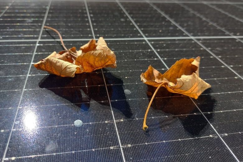 Schmutz, Laub und schlechtes Wetter trüben den Ertrag deutlich Schmutz, Laub und schlechtes Wetter trüben den Ertrag deutlich