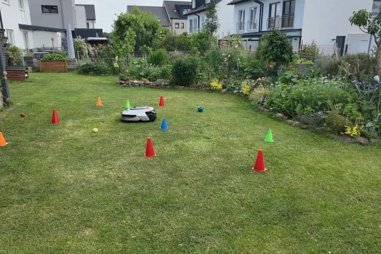 Auf unserem Hindernisparcours aus Hütchen und Bällen fand sich der A2 sehr gut zurecht Auf unserem Hindernisparcours aus Hütchen und Bällen fand sich der A2 sehr gut zurecht