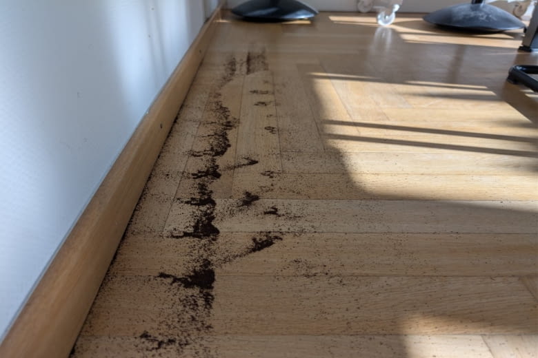 In unserem Extrem-Test ließ der T90 PRO OMNI einiges an Kanten und Ecken liegen. In unserem Extrem-Test ließ der T90 PRO OMNI einiges an Kanten und Ecken liegen.