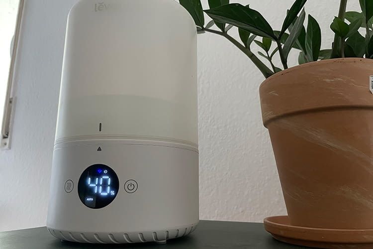 Der Levoit Luftbefeuchter hatte besondere Vorteile für Pflanzenbesitzer im Luftbefeuchter Test Der Levoit Luftbefeuchter hatte besondere Vorteile für Pflanzenbesitzer im Luftbefeuchter Test