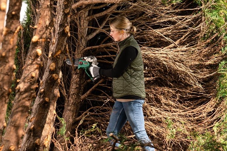 Mit dieser kleinen Säge lässt sich Totholz spielend einfach auslichten Mit dieser kleinen Säge lässt sich Totholz spielend einfach auslichten