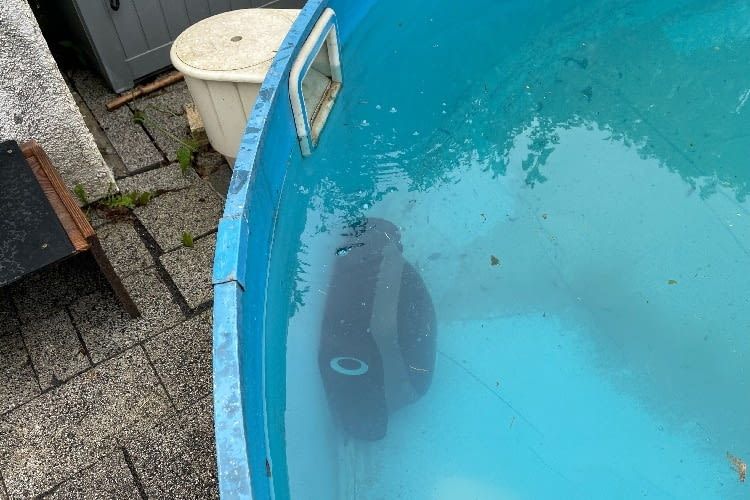 Mit ein bisschen Nachhilfe konnte der Scuba S1 auch unsere runden Wände reinigen Mit ein bisschen Nachhilfe konnte der Scuba S1 auch unsere runden Wände reinigen