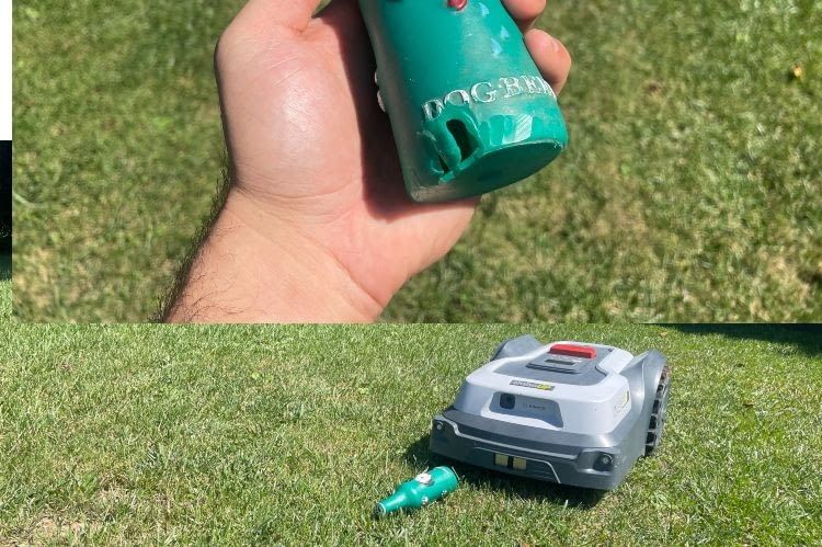 Dieses Hundespielzeug überfuhr der T600 und beschädigte es mit seinen Messern Dieses Hundespielzeug überfuhr der T600 und beschädigte es mit seinen Messern
