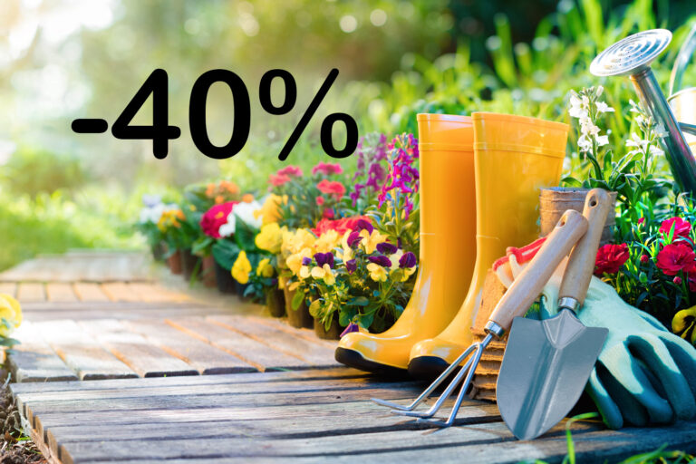 Rasen, Hecke, Pool: Amazons beste Garten-Deals aktuell!