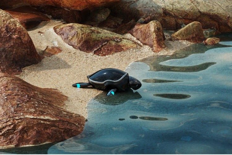 Die RoboTurtle kann sich an Land und Wasser autonom fortbewegen Die RoboTurtle kann sich an Land und Wasser autonom fortbewegen