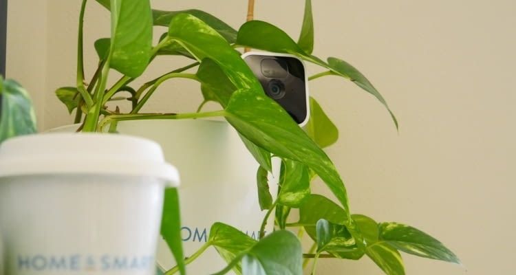 Die Blink Indoor Kamera kann durch ihr schlichtes, kleines Design gut versteckt werden Die Blink Indoor Kamera kann durch ihr schlichtes, kleines Design gut versteckt werden