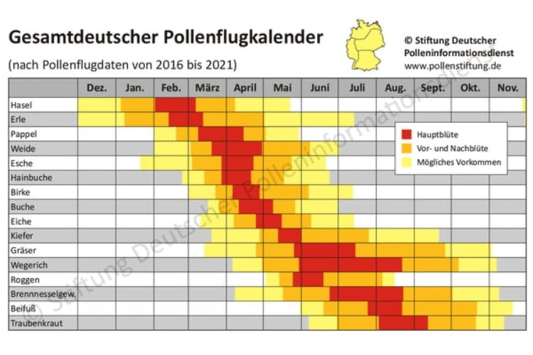 Ganzjährige Belastung: Pollen fliegen das ganze Jahr über - ab Februar beginnt die Heuschnupfen Saison. Ganzjährige Belastung: Pollen fliegen das ganze Jahr über - ab Februar beginnt die Heuschnupfen Saison.