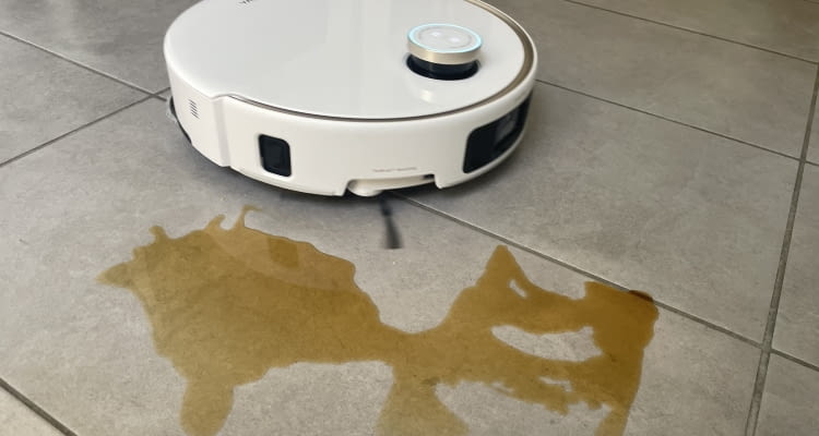 Mova bringt eine gute Wischfunktion mit, sollte in solchen Situationen aber Unterstützung erhalten Mova bringt eine gute Wischfunktion mit, sollte in solchen Situationen aber Unterstützung erhalten