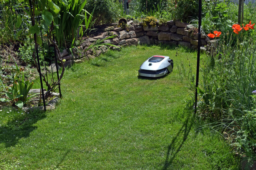 7 Tipps für den perfekten Mähroboter Rasen – das hilft wirklich