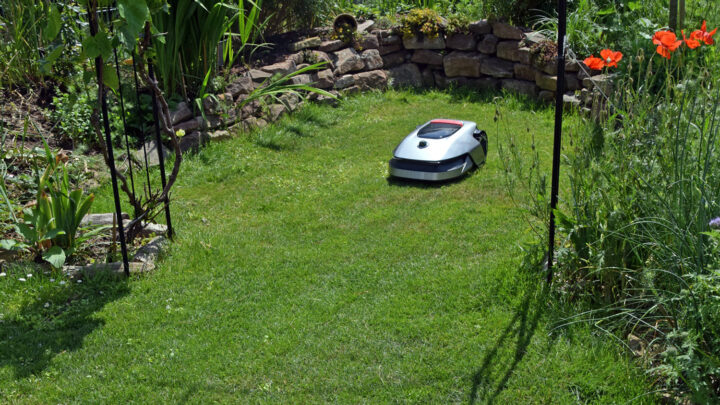 7 Tipps für den perfekten Mähroboter Rasen – das hilft wirklich