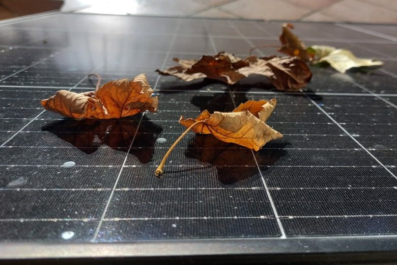 Laub auf den Solarmodulen senkt den Stromertrag deutlich Laub auf den Solarmodulen senkt den Stromertrag deutlich