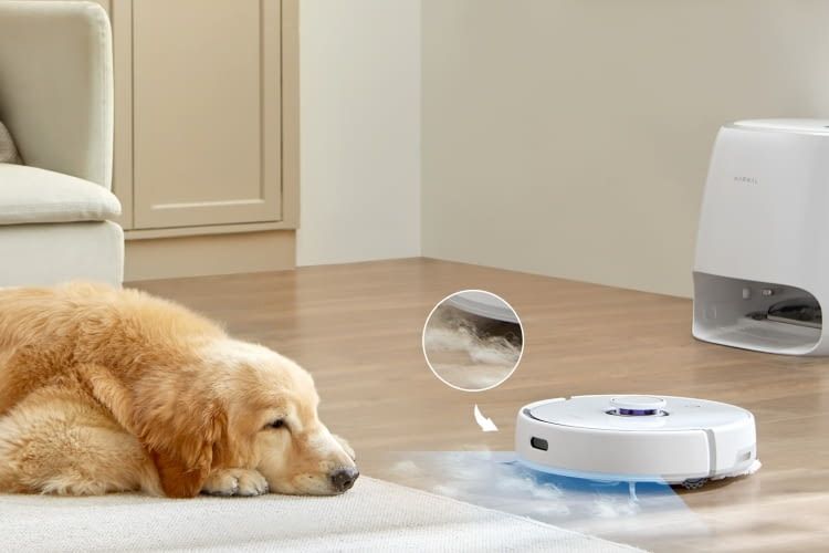 Der Narwal Saugroboter ist auch für den Einsatz bei Tierhaare geeignet Der Narwal Saugroboter ist auch für den Einsatz bei Tierhaare geeignet