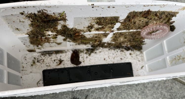 Neben Verschmutzungen durch Pflanzenteile fand Wybot C2 auch verlorene Gegenstände wieder Neben Verschmutzungen durch Pflanzenteile fand Wybot C2 auch verlorene Gegenstände wieder