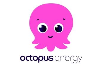 Dynamischer Stromtarif von Octopus Energy