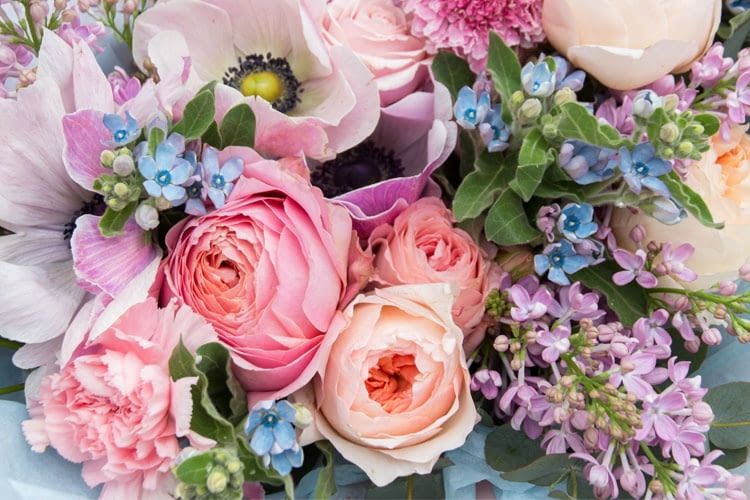 Im Idealfall sind Rosen und Co. bei der Zustellung noch sehr frisch Im Idealfall sind Rosen und Co. bei der Zustellung noch sehr frisch