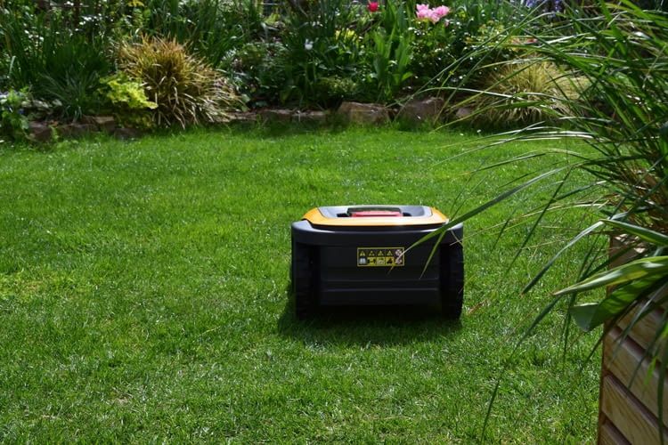 Auf freier Fläche spielt der kabellose Mähroboter seine Stärken voll aus Auf freier Fläche spielt der kabellose Mähroboter seine Stärken voll aus