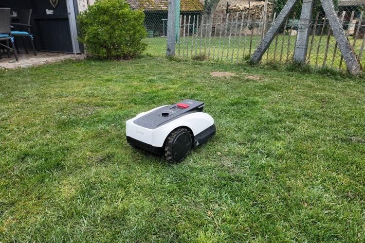 Auf der Rasenfläche zeigte der GOAT O800 RTK eine sehr gute Leistung und mähte sehr engmaschig Auf der Rasenfläche zeigte der GOAT O800 RTK eine sehr gute Leistung und mähte sehr engmaschig