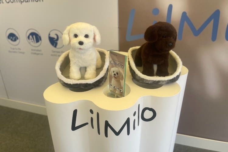 Wann LilMilo auf den Markt kommt und was er kosten soll, verriet ECOVACS nicht Wann LilMilo auf den Markt kommt und was er kosten soll, verriet ECOVACS nicht