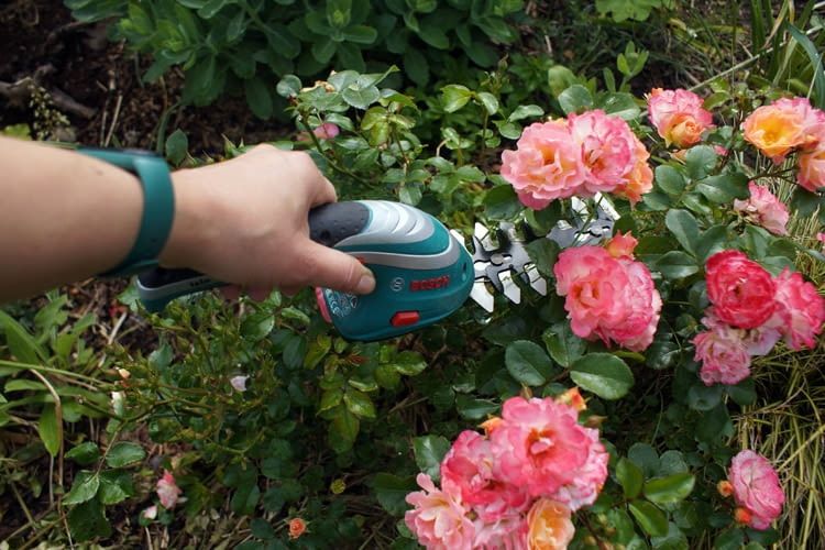 Wir haben auch bereits Akku Grasscheren auf Herz und Nieren geprüft Wir haben auch bereits Akku Grasscheren auf Herz und Nieren geprüft