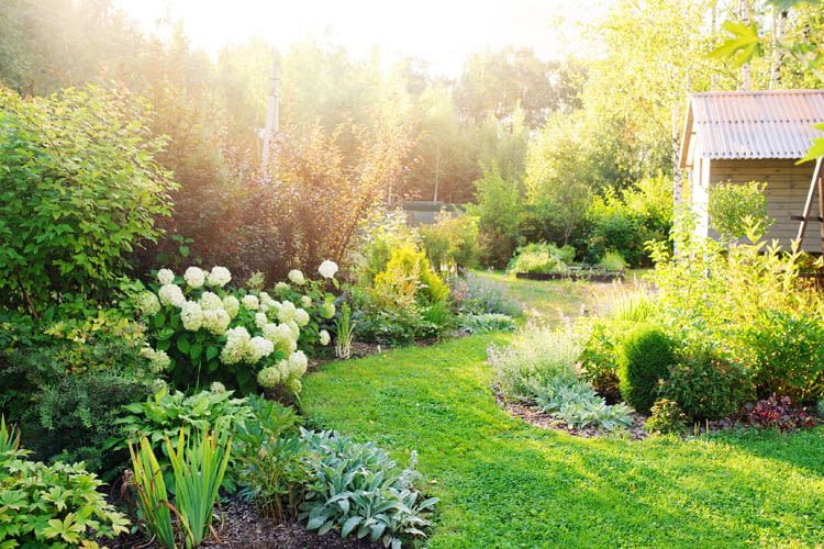 Auf Wunsch kümmern sich Sprachassistenten sogar um die Gartenpflege Auf Wunsch kümmern sich Sprachassistenten sogar um die Gartenpflege