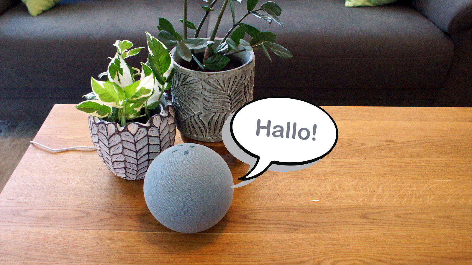 Amazon Alexa & Alexa+: Echo-Geräte, Skills und KI-Funktionen im ...