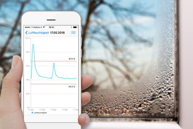 Mit bluSensor wird Schimmel festgestellt, im besten Fall aber schon verhindert Mit bluSensor wird Schimmel festgestellt, im besten Fall aber schon verhindert